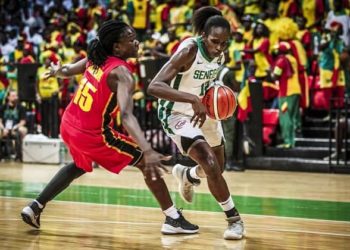 Préliminaires TQO: Les lionnes face à l'Angola ce soir. - wiwsport