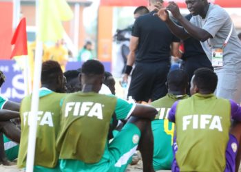 Mondial: Ngalla Sylla, coach des lions : "Nous avons notre destin en main" - wiwsport