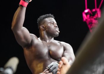 Arts Martiaux Mixtes (MMA) : Rival futur du « sport de chez nous » - wiwsport