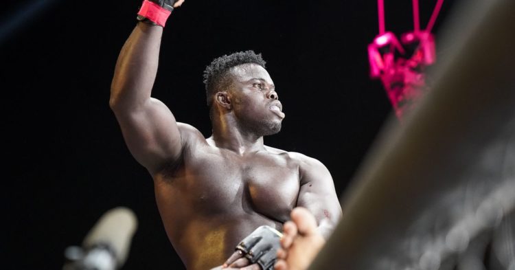 Arts Martiaux Mixtes (MMA) : Rival futur du « sport de chez nous » - wiwsport Arts Martiaux Mixtes (MMA) : Rival futur du « sport de chez nous » - wiwsport