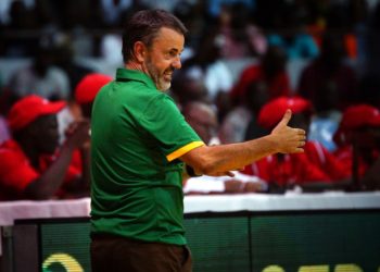 Équipe masculine : Porfirio Fisac retrouve le banc des Lions - wiwsport