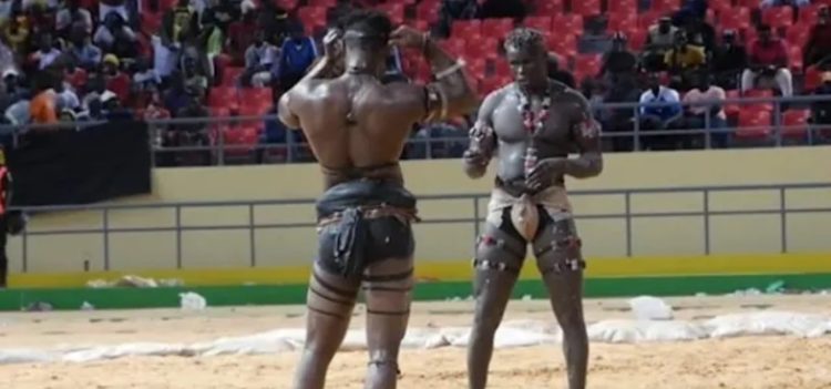 Vidéo - Résumé de tous les combats du dimanche 16 février 2020 à l'arène nationale - wiwsport