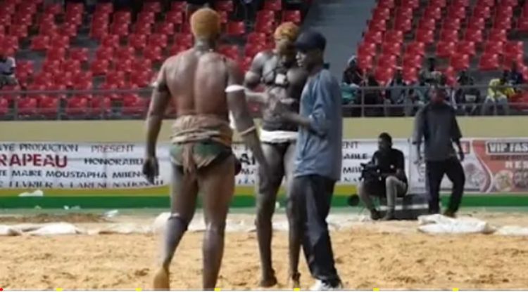 Vidéo - Intégralité combats Thiatou Yarakh vs Serpent et Far Bou Diarr vs Petit L'enfant - wiwsport