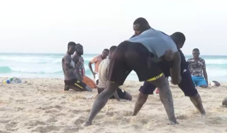 En images : Papa Sow à fond dans ses entraînements - wiwsport En images : Papa Sow à fond dans ses entraînements - wiwsport