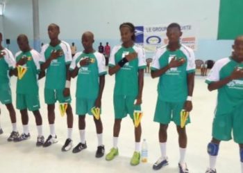 IHF Trophy U20 : 14 Lionceaux présélectionnés ! - wiwsport