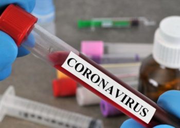 CHAN 2020: Un test de coronavirus avant d'entrer au Cameroun ! - wiwsport