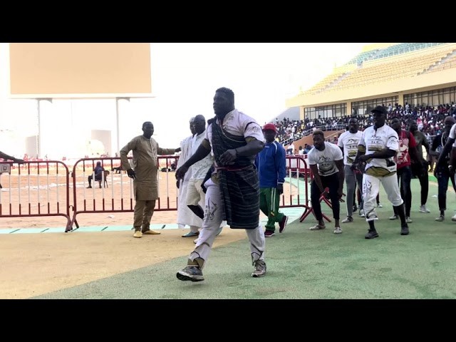 Vidéo- Combat Franc vs Bébé Saloum: Regardez le touss de Franc à l’arène nationale ! - wiwsport
