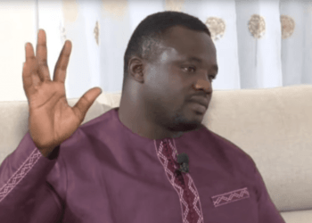 Papa Sow sur la lutte avec frappe: "Elle n'est professionnelle que de nom" - wiwsport