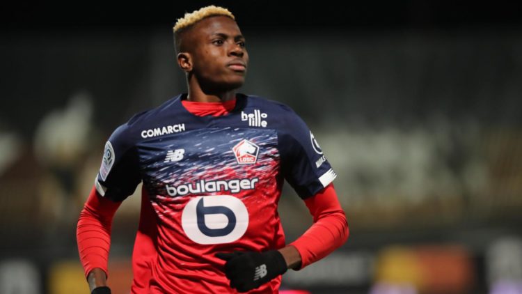 Prix Marc-Vivien Foé : Victor Osimhen (Lille) élu meilleur Africain de Ligue 1, Habib Diallo 4e - wiwsport Prix Marc-Vivien Foé : Victor Osimhen (Lille) élu meilleur Africain de Ligue 1, Habib Diallo 4e - wiwsport
