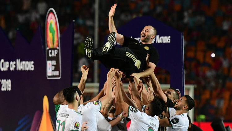 CAN 2019: Belmadi considéré comme un héros en Algérie ! - wiwsport