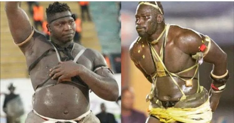 Lamb : BOY NIANG 2 vs TAPHA TINE en bonne voie - wiwsport Lamb : BOY NIANG 2 vs TAPHA TINE en bonne voie - wiwsport