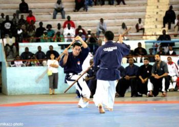Yoseïkan Budo : Me Alassane Ndong, PCO : « Terminer en beauté malgré la pandémie »