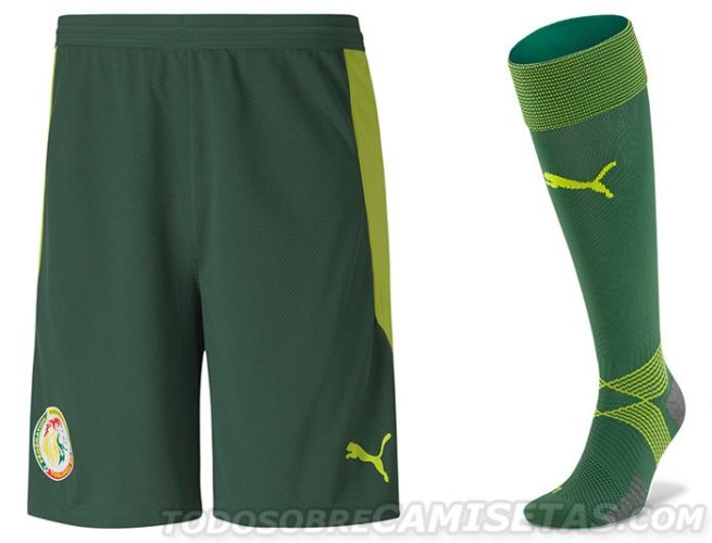 Maillot Extérieur Équipe Nationale Sénégal – Romai, Vert, Taille M, Homme, 2017