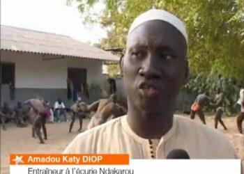 Lamb : l’écurie Fass et l’école de lutte Ndakarou fusionnent - wiwsport