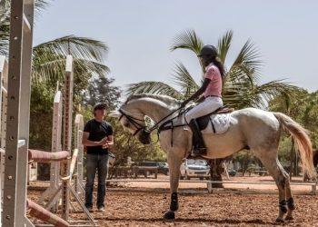 Reprise des compétitions nationales : Equitation le 10 janvier, scrabble et échecs attendent les fonds Covid - wiwsport