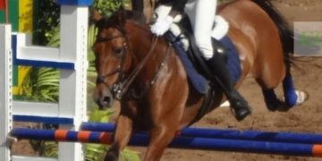 8ème Saut d’obstacles : Adama, Baye Mor, Éden et Jihane en pleine ascension vers les Championnats nationaux - wiwsport