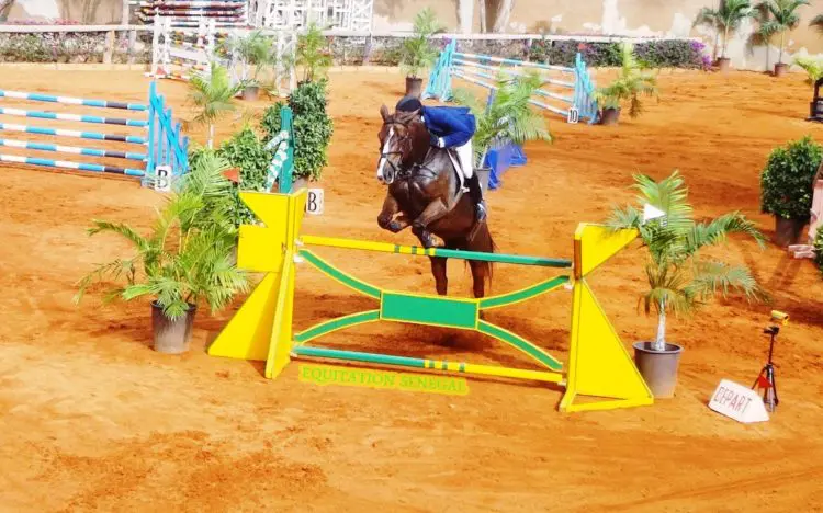 Équitation – CSO : Adama « Nokoss » Mbaye enchaîne, Babacar Dieng signe un doublé marquant - wiwsport