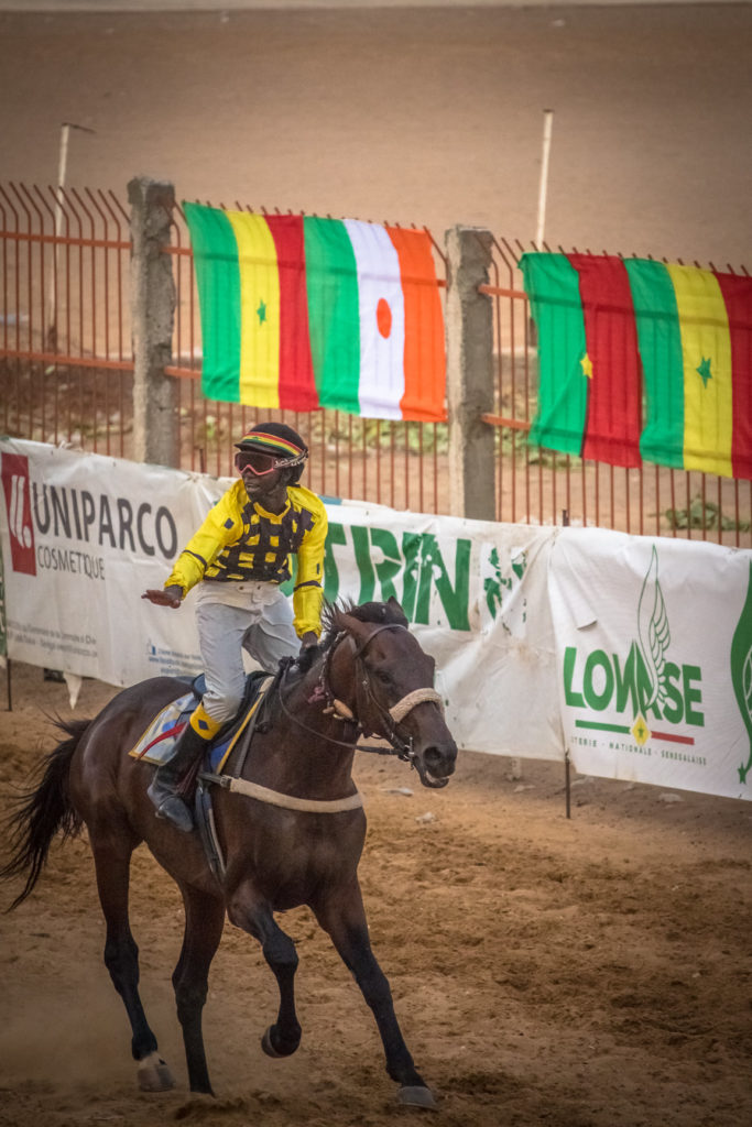 Courses Hippiques : Grand Prix Chef de l'État : El Capo carbure et succède à Aminou Oumah - wiwsport Courses Hippiques : Grand Prix Chef de l'État : El Capo carbure et succède à Aminou Oumah - wiwsport