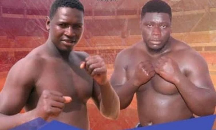 Vidéo - Regardez l'énorme victoire de Franc sur Tyson 2 par KO - wiwsport