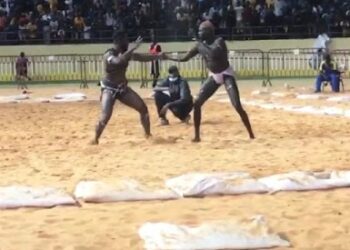 Lamb : Bébé Bismi terrasse Papa Boy Djiné d'une belle prise (vidéo) - wiwsport