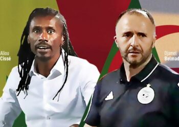 Can 2021 – Ils seront 14 sur les 24 équipes présentes au Cameroun : Les coaches locaux dominent le match - wiwsport