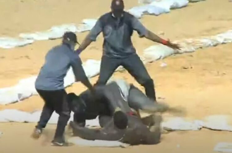 Vidéo / Lutte : Gris 2 s'offre une énorme victoire contre Abdou Diouf - wiwsport Vidéo / Lutte : Gris 2 s'offre une énorme victoire contre Abdou Diouf - wiwsport