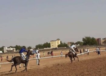 Courses Hippiques : GP CESE : Belle et Expert confirment - wiwsport