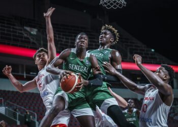 Championnat du Monde U19 : Les Lionceaux chutent en match de classement face à l&rsquo;Espagne