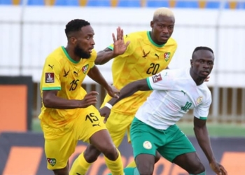 Eliminatoires Coupe du monde 2022 - Togo v Sénégal ce 11 novembre : Voici la liste des éperviers - wiwsport