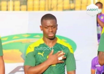 Nouveau maître à jouer des Lions, Nampa'lisse le jeu des Lions - wiwsport