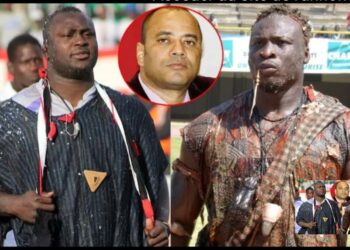 Combat Modou Lo-Ama Baldé : Luc Nicolaï fera face à Bira Sène, ce lundi - wiwsport