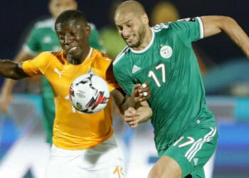 CAN 2021 : l'Algérie, la Cote d'Ivoire (…), présentation du Groupe E - wiwsport