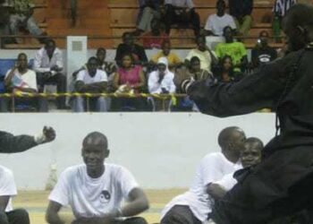 Kung-Fu : Coupe Président CNOSS (3ème édition) : Dakar s'adjuge le trophée devant Thiès et Saint-Louis - wiwsport