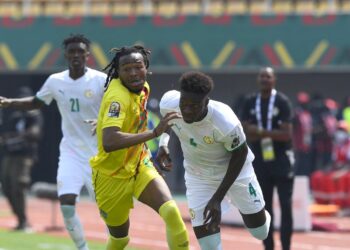 CAN 2021 : Les Lions flinguent les Warriors au bout du bout - wiwsport