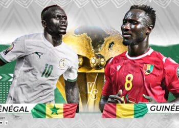 CAN 2021 : L'entrejeu, l'autre match qui attend les Lions face à la Guinée ? - wiwsport