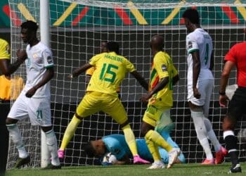 Equipe Nationale : Seny Dieng, l'inattendue valeur très sûre - wiwsport