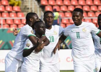 Coupe du Monde 2022 : Les Lions connaîtront aujourd'hui leur adversaire en barrages - wiwsport