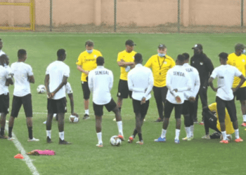 Can 2021 – Entraînement des Lions au lendemain de leur qualification, 17 Lions présents