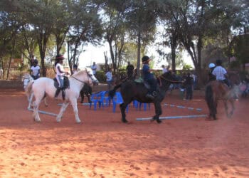 Équitation Championnats d'Afrique (19-26 mars) : Les Lionceaux au galop en pointillés vers Alger - wiwsport