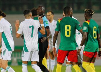 Mondial 2022 : Recours des Fennecs, l'Algérie bientôt fixée - wiwsport