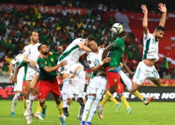 Algérie -Cameroun : le recours des Fennecs examiné le 21 avril - wiwsport