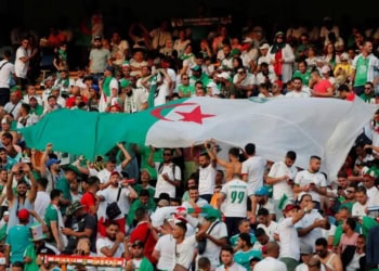 Mondial 2022 : La Fifa annule des billets spécifiques à l’Algérie - wiwsport