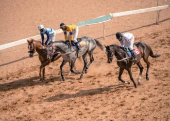 Courses Hippiques : 7ème Journée : Major remporte le jackpot, El Capo confirme - wiwsport