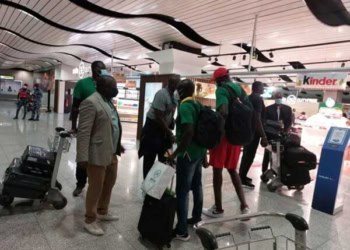 Mondial 2023 (Éliminatoires) : Les Lions sont enfin arrivés à Alexandrie ! - wiwsport