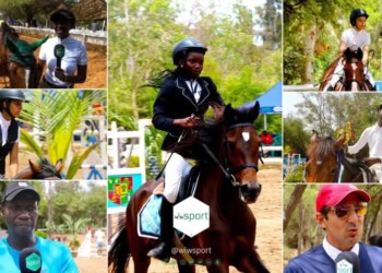 Reportage - Équitation : Dans l’enclos des chevaux ! - wiwsport