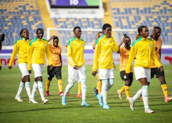 Coupe du Monde 2023 : Les Lionnes affronteront la Tunisie en pré-barrage de qualification - wiwsport