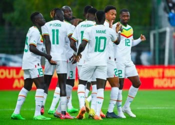 Le Budget des Lions pour le Mondial devrait passer de 8 à 14 milliards FCFA - wiwsport