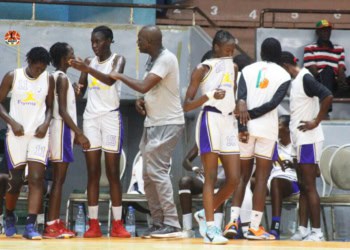 NF1. Le promu Flyingstar assure son maintien dans l’élite - wiwsport