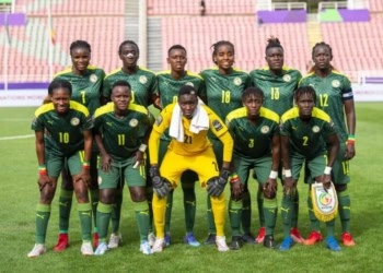 Lionnes du Sénégal