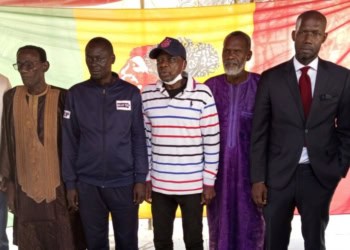 Jeu de Dames : Vainqueur du tournoi de remise à niveau : Mor Seck règne en Grand Maître, la hiérarchie respectée - wiwsport